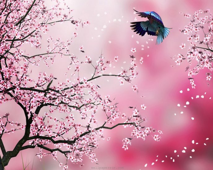 Little bird and blooming trees - HD abstract wallpaper