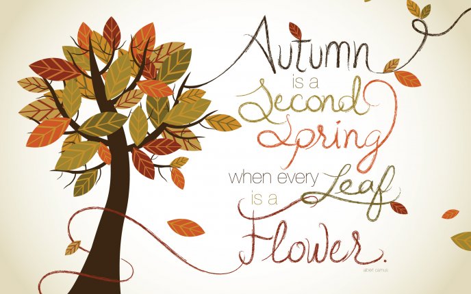 True message about autumn season - HD wallpaper