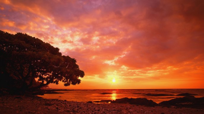 The warm colour of the sunset - beautiful nature