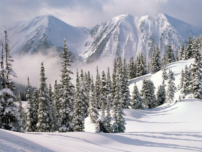 Big mountains full with snow - winter landscape