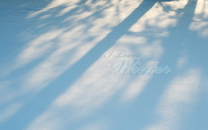 Shadows is the snow - I love winter