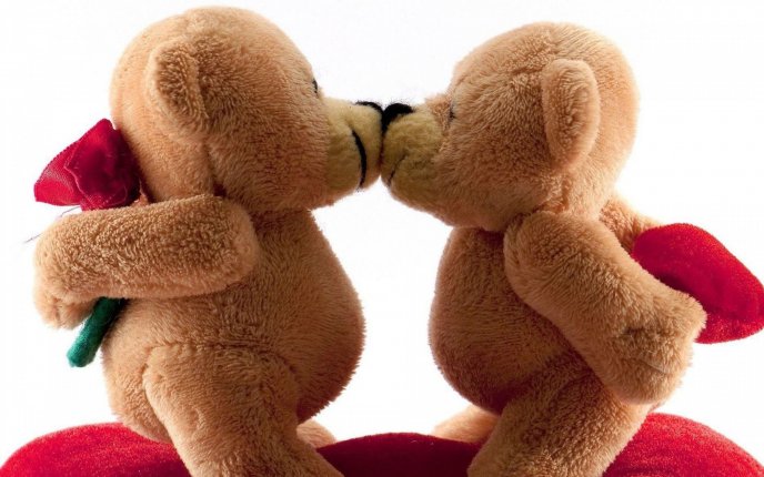 Two sweet fluffy bears - romantic moment of Valentines Day