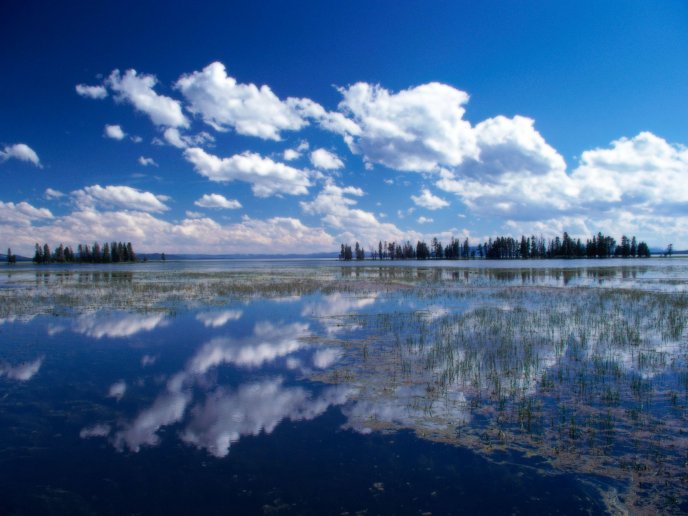 Beautiful sky in the mirror of the lake