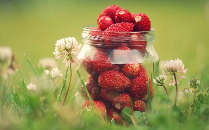Small strawberries in a jam in the middle of the nature