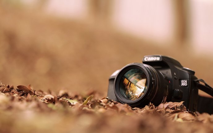 Canon EOS 30D - professional camera