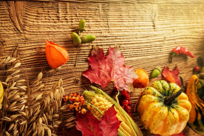 Corn, pumpkins and other miracles of autum season