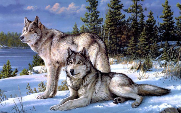 Wolfs in the snow - beautiful winter painting