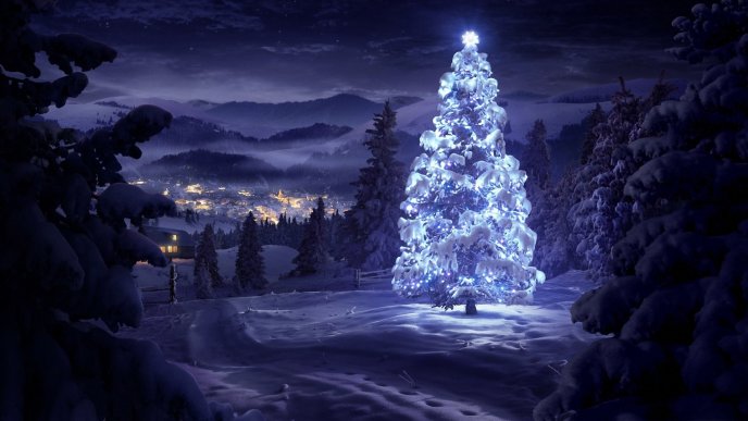 White Christmas tree in the nature - HD snowy wallpaper