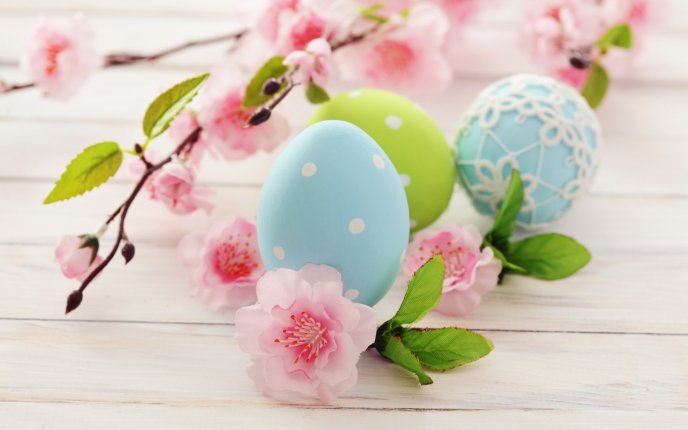 Blue color eggs - Happy Easter Holiday and blossom trees