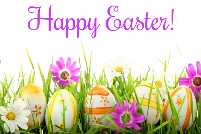 Happy Easter 2015 - colored eggs in the grass