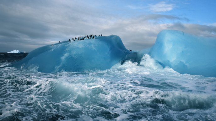 Many penguins on the blue ice in the ocean