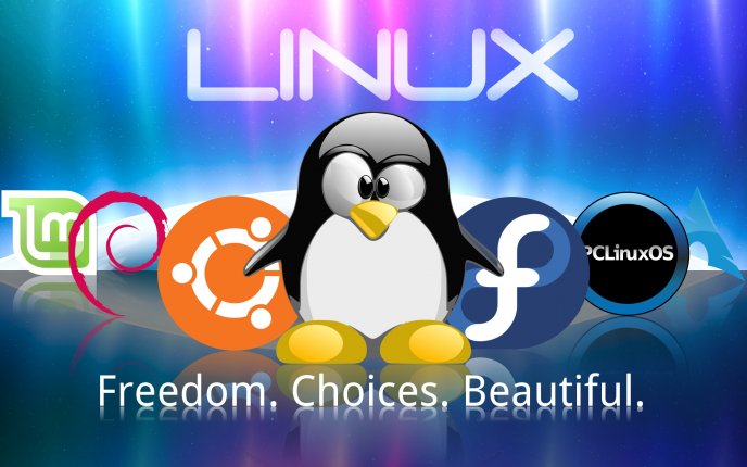 Freedom, Choices and Beautiful - Linux wallpaper