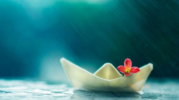Little paper boat and sweet flower - summer rain