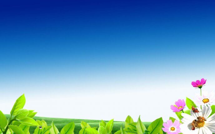 Digital art - green field with flowers and blue sky