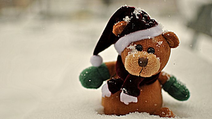 Teddy bear with beanie and scarf in the snow - Mascot