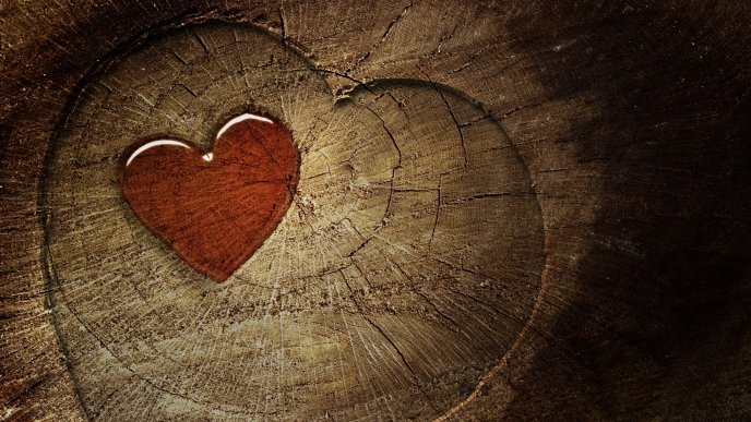 A red heart in the wood - Love wallpaper