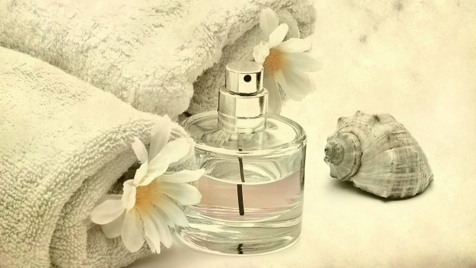 Bottle with perfume water, white flowers and a shell