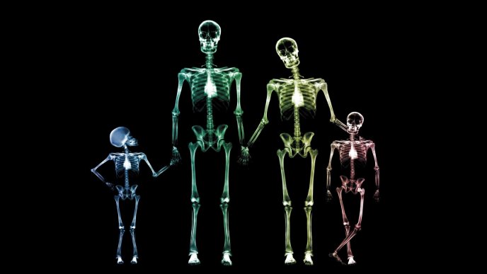 Family skeletons in different colors on a black space