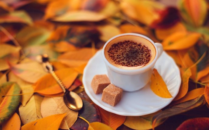 Delicious coffee with brown sugar and cinnamon -HD wallpaper
