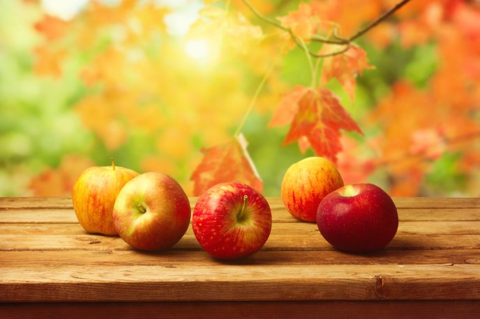 Delicious red apples - Autumn season