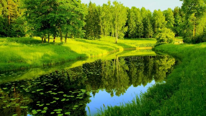 Wonderful green park - Landscape of nature