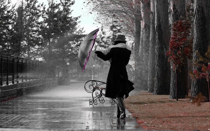 Walking in the park with an umbrella in a rainy day