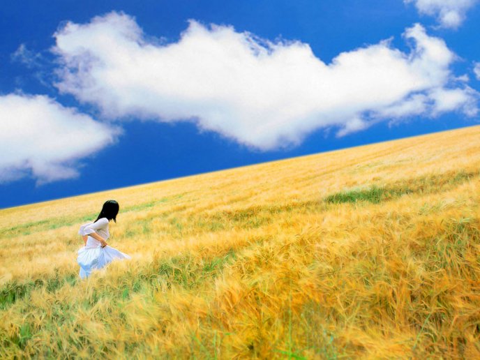 Run through the golden wheat field - HD wallpaper