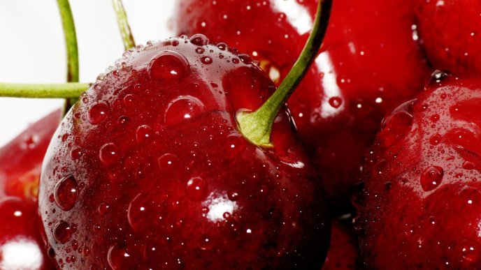 Fresh cherries - big water drops on the fruits