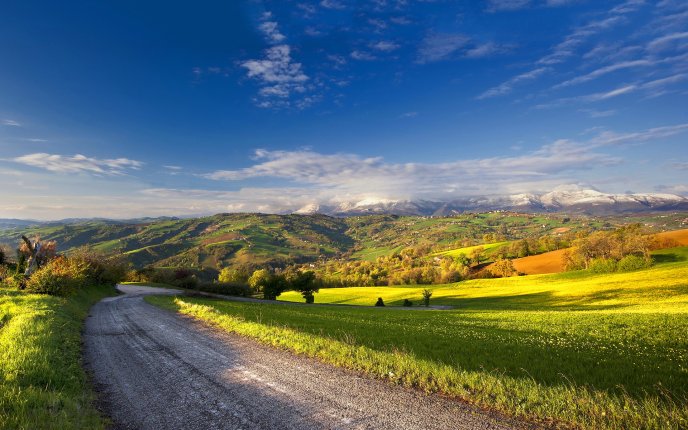 Country road and beautiful summer landscape