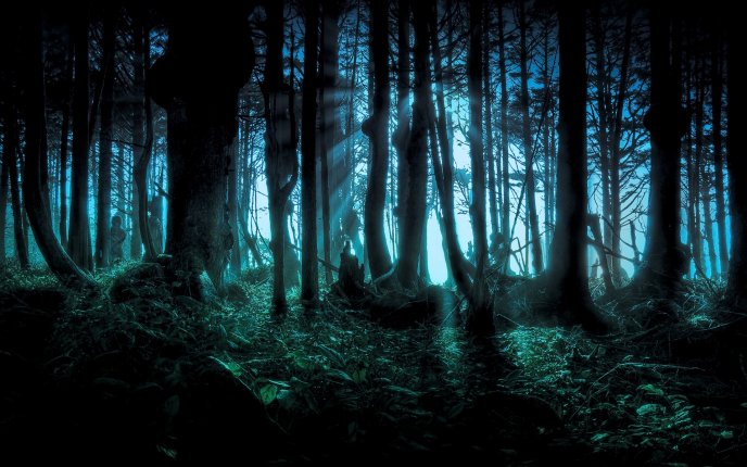 Walk in the dark forest - Happy Halloween night