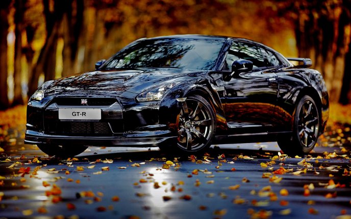 Nissan Skyline GT-R - wonderful black car and Autumn season