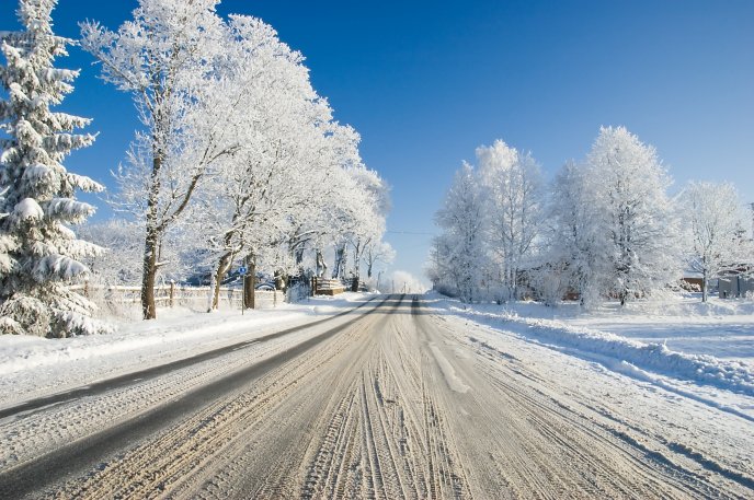 White road full with snow - Wonderful Winter season