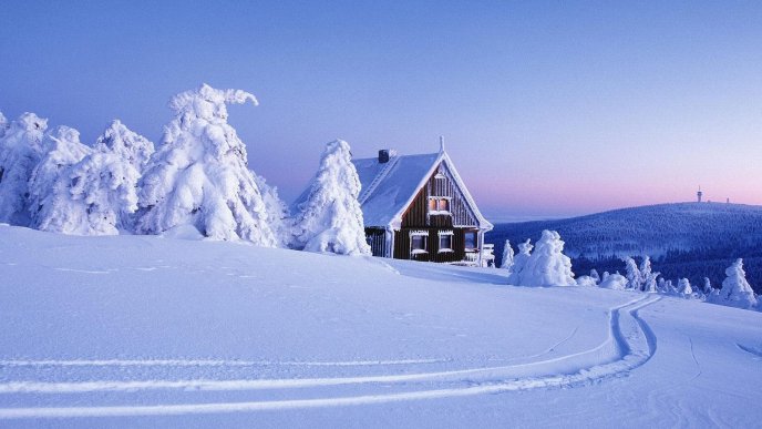 Path in the big snow - wonderful white winter season