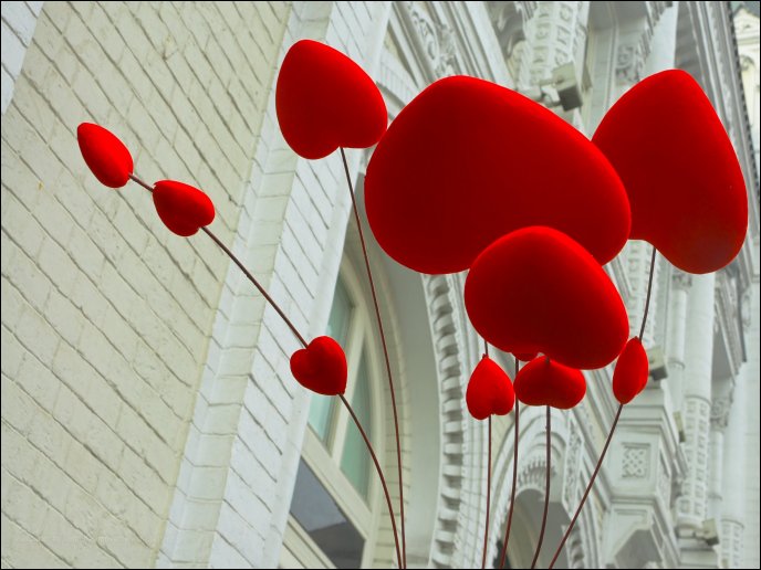 Sweet red balloons in shape of hearts - Happy Valentines Day