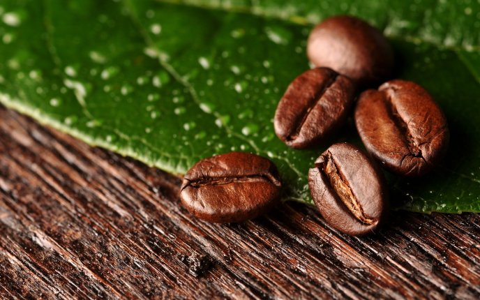 Brown color of coffee on the wood - Macro beans