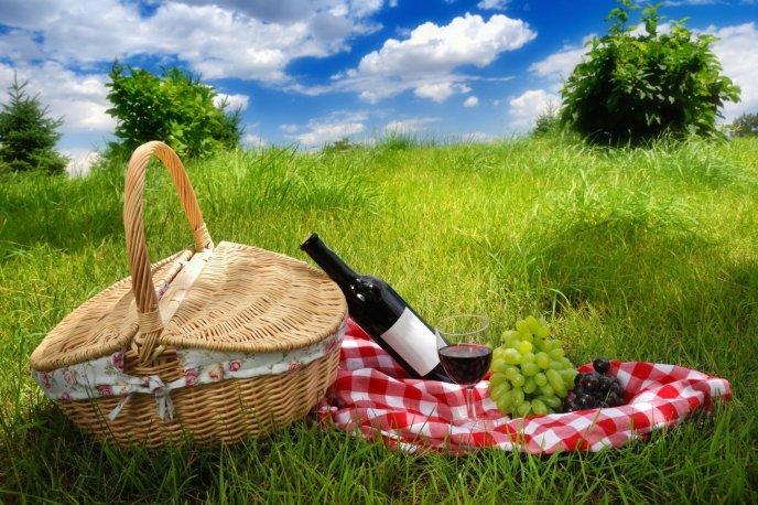 Good wine at the perfect picnic this spring