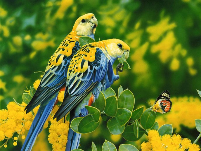 Two wonderful parrots in the jungle - Nature wallpaper