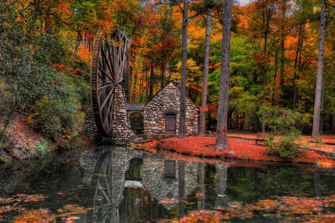 Olt water mill in the forest - Mirror in the lake