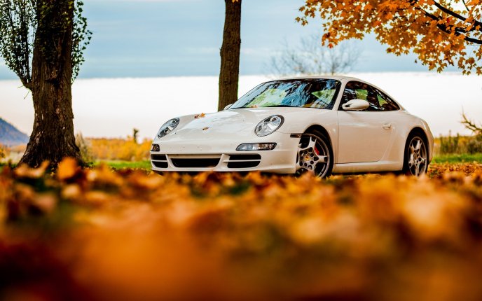 Old white Porsche car and beautiful Autumn leaves