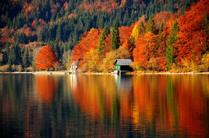 Wonderful nature landscape -Autumn forest mirror in the lake