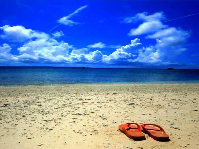 Let your flip flop on the sand and enjoy water - Summer time