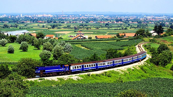 Big blue train and a wonderful nature landscape