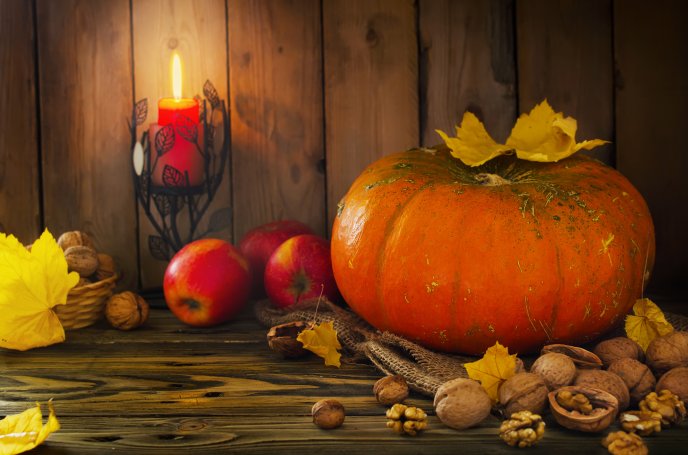 Big orange pumpkin and nuts - Autumn Fruits