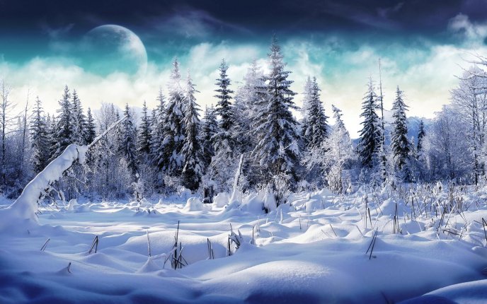 Big moon in a cold winter season - All nature is white