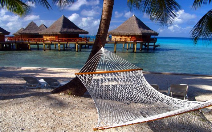 Relaxing time on a hammoc in Maldive Islands- Holiday summer