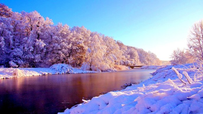 Wonderful landscape - White trees full with snow near river