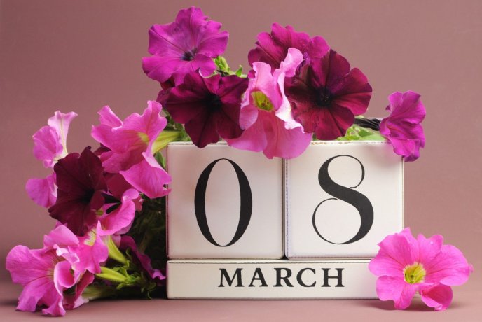 Wonderful pink and purple flowers for a special day - 8March