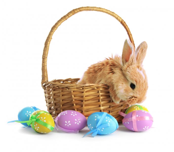 Brown fluffy Eater bunny basket and coloured eggs