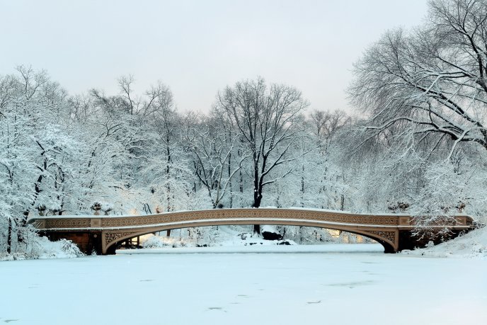 Frozen bridge in a wonderful winter season time - wallpaper