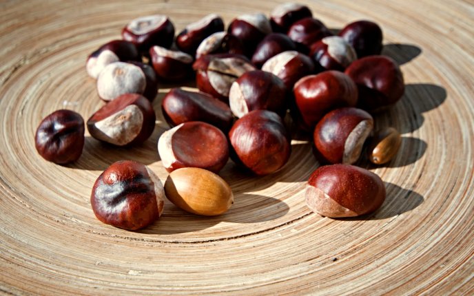 Plate full with chestnuts - HD autumn wallpaper